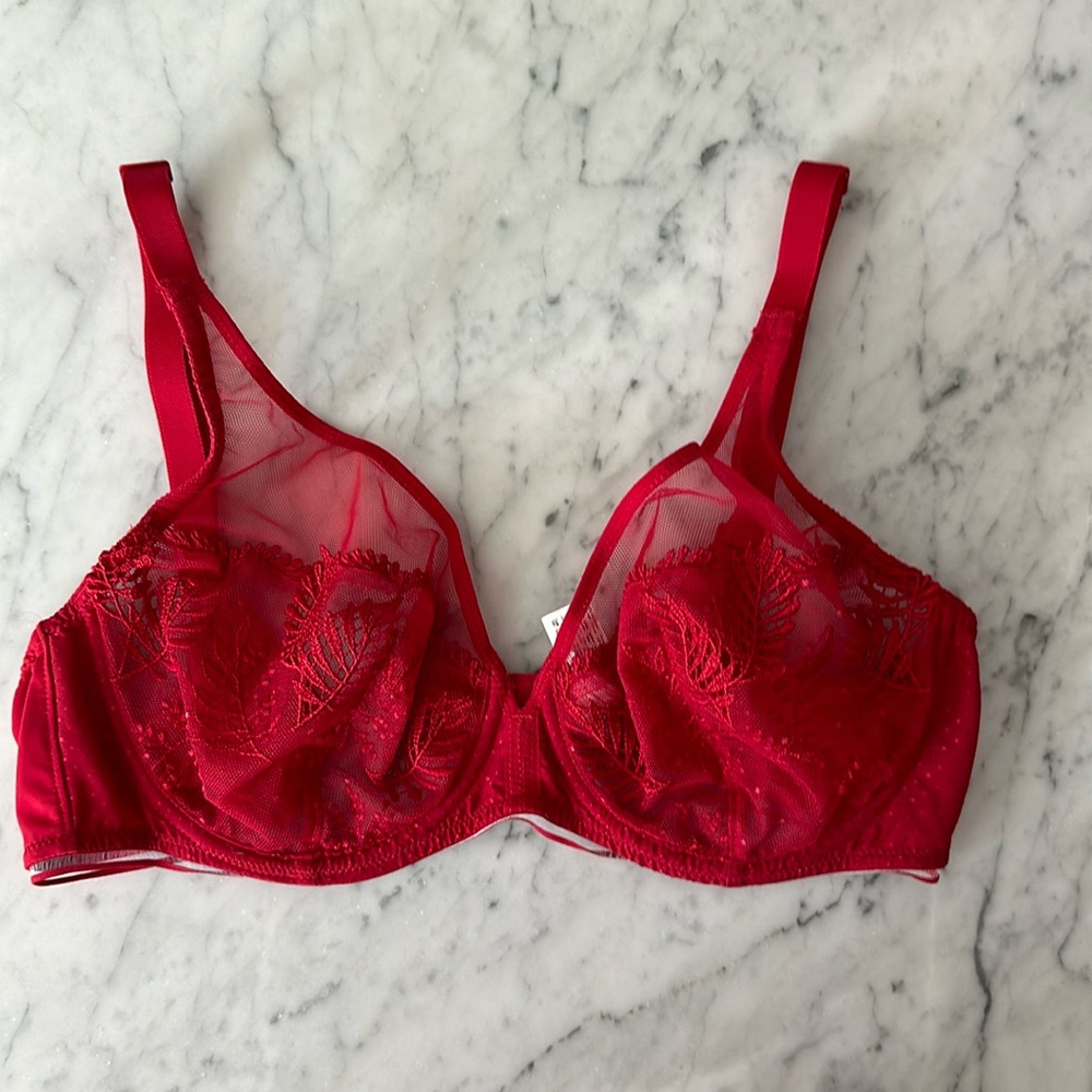 Luxury lingerie. Red Simone Perele lace bra.